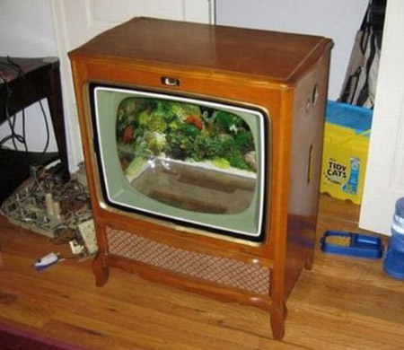 телевизор-аквариум